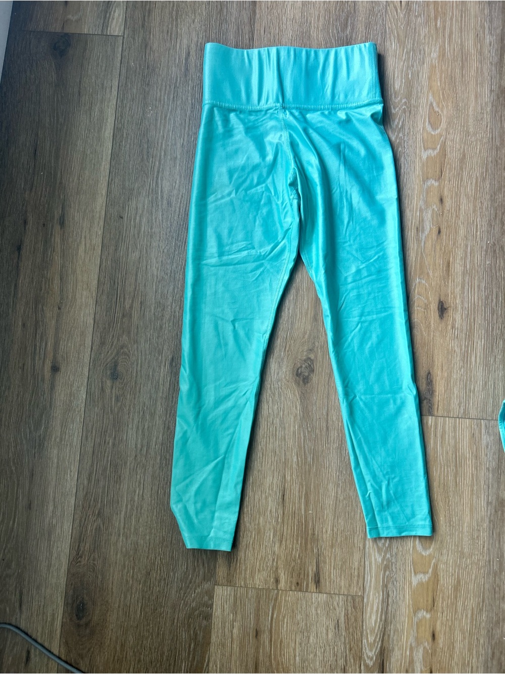 Carbon 38 teal shiny leggings size small